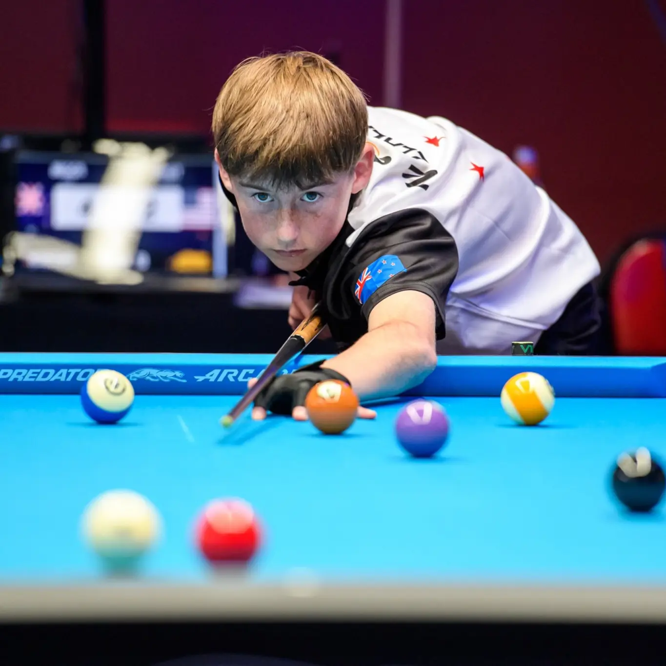 gallery 12 Gallery 1